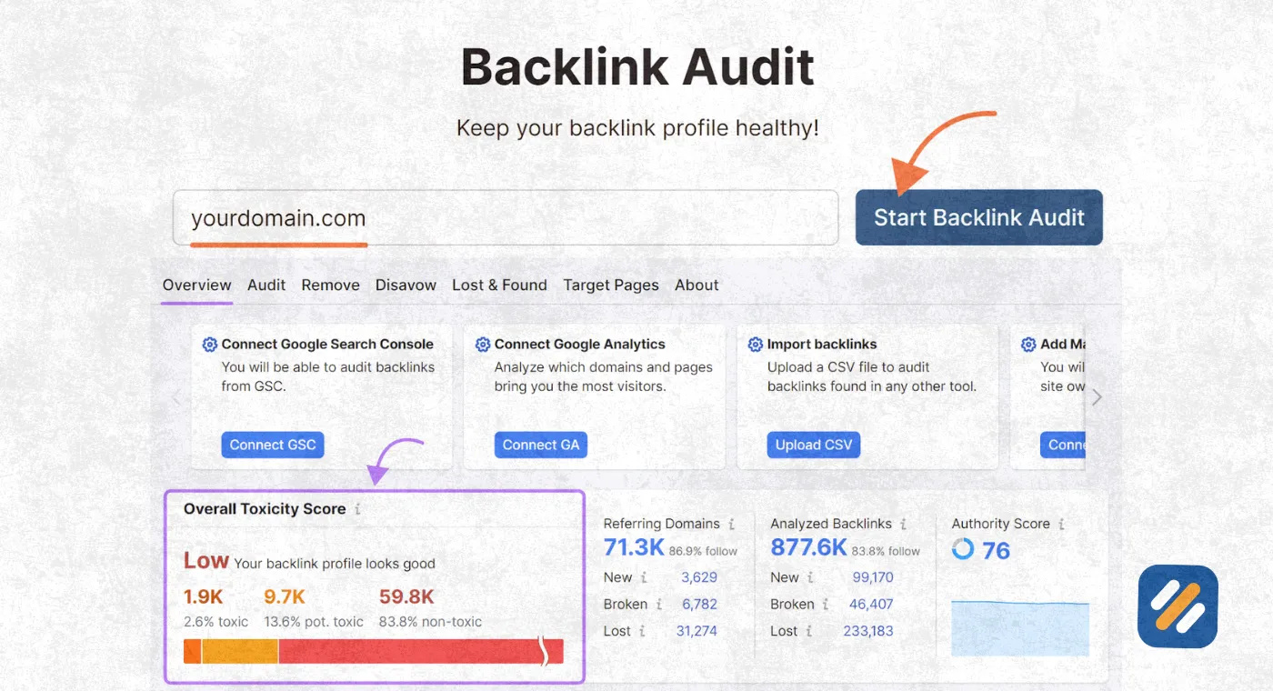Backlink Audit